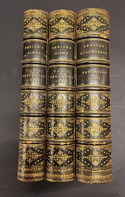Lot 29 - Bewick (Thomas). A History of British Birds, 2 volumes, 1805