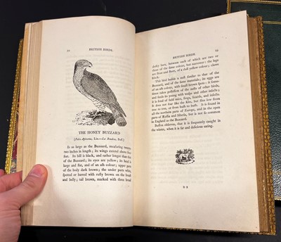 Lot 29 - Bewick (Thomas). A History of British Birds, 2 volumes, 1805