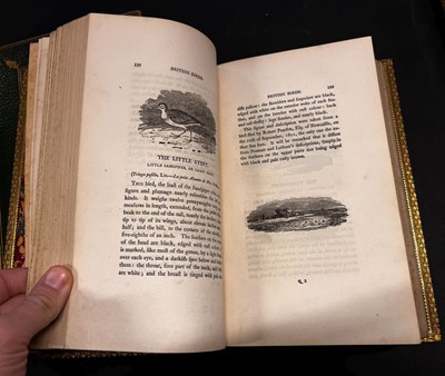 Lot 29 - Bewick (Thomas). A History of British Birds, 2 volumes, 1805