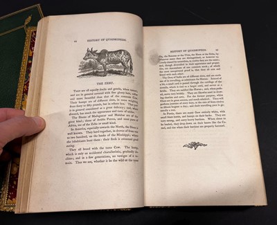 Lot 29 - Bewick (Thomas). A History of British Birds, 2 volumes, 1805