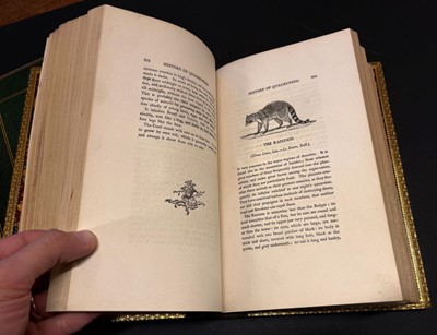 Lot 29 - Bewick (Thomas). A History of British Birds, 2 volumes, 1805