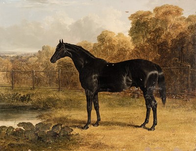 Lot 221 - Herring (John Frederick, 1795-1865). Sheet Anchor, a Study of a Black Racehorse, 1838