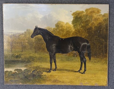 Lot 221 - Herring (John Frederick, 1795-1865). Sheet Anchor, a Study of a Black Racehorse, 1838