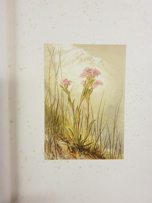 Lot 42 - Walton (Elijah). Flowers from the Upper Alps, 1869