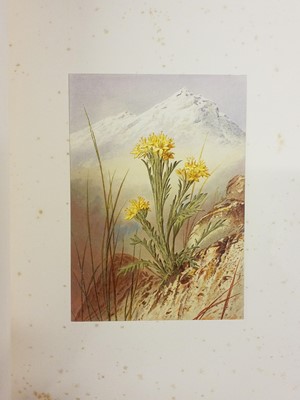 Lot 42 - Walton (Elijah). Flowers from the Upper Alps, 1869