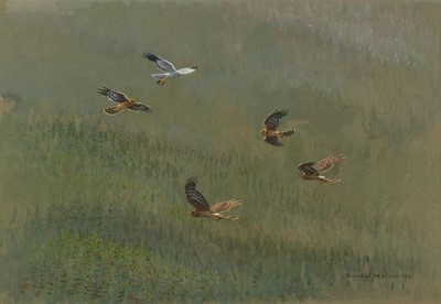 Lot 74 - 1991 Watson (Donald, 1918-2005). Cock Hen Harrier ..., 1991