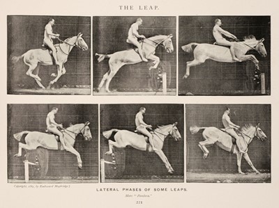 Lot 68 - Muybridge (Eadweard). Animals in Motion. An electro-photographic investigation..., 1899