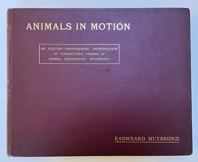 Lot 68 - Muybridge (Eadweard). Animals in Motion. An electro-photographic investigation..., 1899