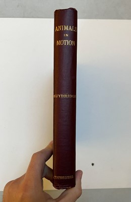 Lot 68 - Muybridge (Eadweard). Animals in Motion. An electro-photographic investigation..., 1899