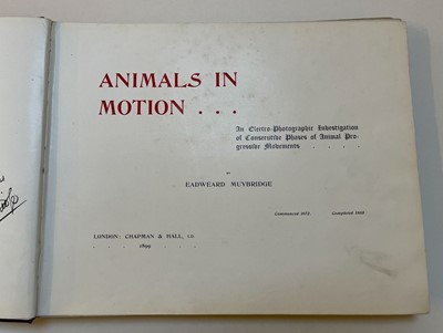 Lot 68 - Muybridge (Eadweard). Animals in Motion. An electro-photographic investigation..., 1899