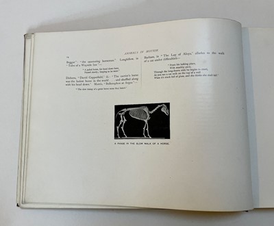 Lot 68 - Muybridge (Eadweard). Animals in Motion. An electro-photographic investigation..., 1899