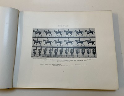 Lot 68 - Muybridge (Eadweard). Animals in Motion. An electro-photographic investigation..., 1899