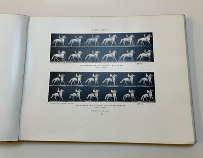 Lot 68 - Muybridge (Eadweard). Animals in Motion. An electro-photographic investigation..., 1899