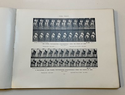 Lot 68 - Muybridge (Eadweard). Animals in Motion. An electro-photographic investigation..., 1899