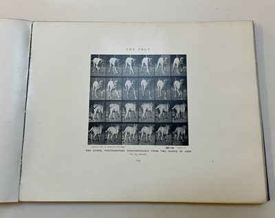 Lot 68 - Muybridge (Eadweard). Animals in Motion. An electro-photographic investigation..., 1899