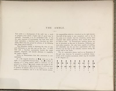 Lot 68 - Muybridge (Eadweard). Animals in Motion. An electro-photographic investigation..., 1899