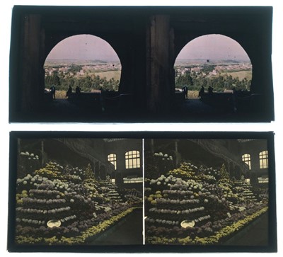 Lot 6 - Autochromes. A collection of 13 stereo autochromes & 1 quarter-plate autochrome, early 20th century