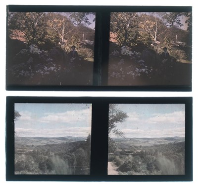 Lot 6 - Autochromes. A collection of 13 stereo autochromes & 1 quarter-plate autochrome, early 20th century
