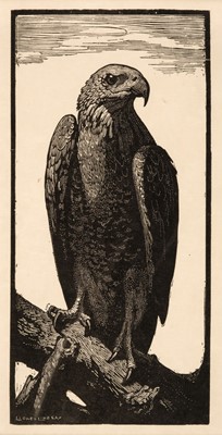 Lot 771 - Lindsay (Lionel Arthur, 1874-1961). The Brown Hawk, [1924], woodcut