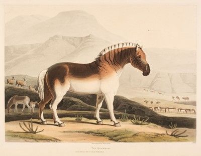 Lot 169 - Daniell (Samuel). The Quahkah [and] The Koodoo R. Havell, 1831