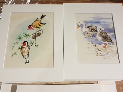 Lot 790 - Rene CLOKE (1905-1995) Twenty-Six Original Illustrations of Animals