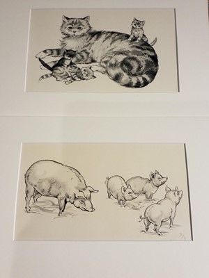 Lot 790 - Rene CLOKE (1905-1995) Twenty-Six Original Illustrations of Animals