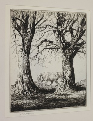 Lot 235 - Etchings. A collection of 12 etchings, 20th century