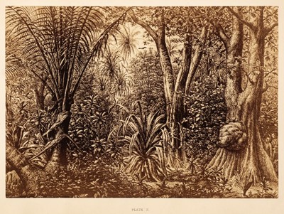 Lot 34 - Kittlitz (F. H. von). Twenty-four Views of the Vegetation... Coasts and Islands of the Pacific, 1861