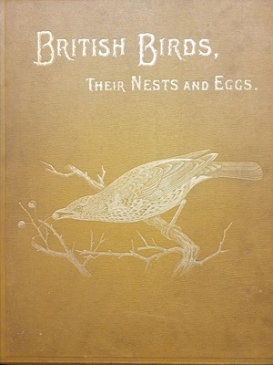 Lot 458 - Natural history. A collection of late 19th & early 20th-century natural history references.