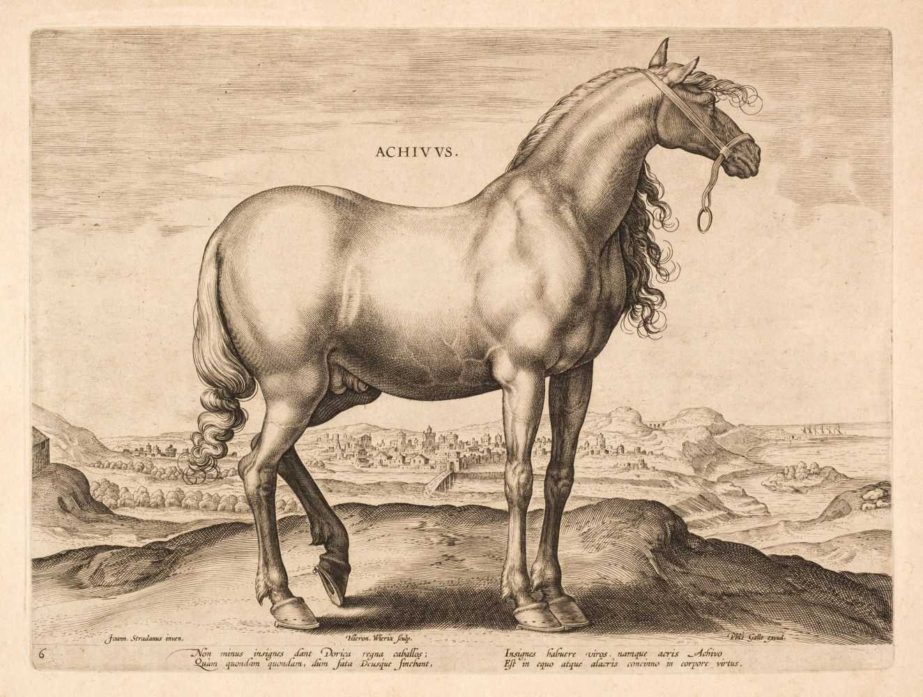 Lot 29 - H. Wierix after J. Stradanus, Achivus, from Equile Ioannis Austriaci, engraving, circa 1578