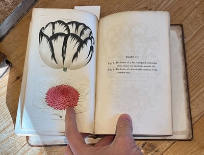 Lot 76 - Medical Botany. Medical Botany, 2 volumes, 1819