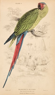 Lot 171 - Jardine (William). A collection of approximately 80 engravings of birds, circa 1835