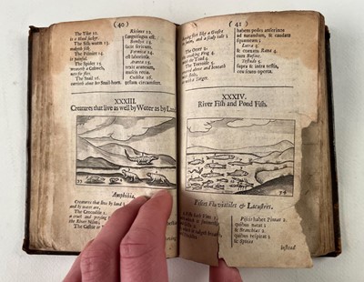 Lot 317 - Comenius (Johann Amos). Commenii Orbis Sensualim Pictus, 1700