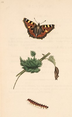 Lot 23 - Donovan (Edward). The Natural History of British Insects:..., volume 2 only, 1793