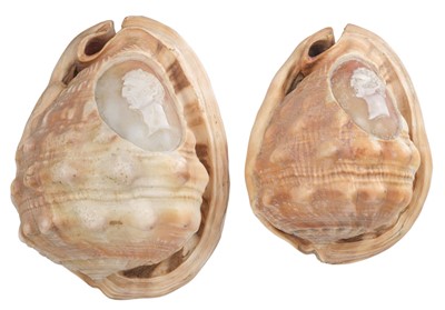 Lot 571 - Duke of Wellington. Two Victorian conch shell cameos