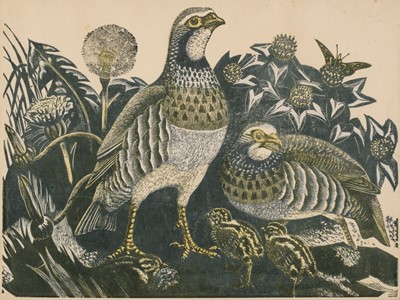 Lot 102 - Osbourne (James Thomas Armour, 1907-1979). Family of Partridges