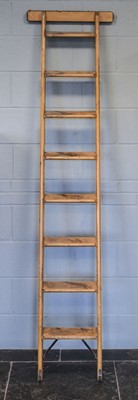 Lot 190 - Library Ladder.