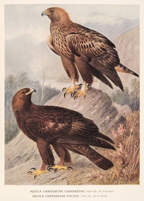 Lot 69 - Swann (H. Kirke & Alexander Wetmore, editor). A Monograph of the Birds of Prey