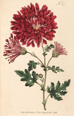 Lot 22 - Curtis (William). The Botanical Magazine or Flower-Garden Displayed, volume IX, 1795
