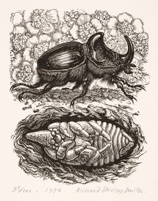 Lot 314 - Smith (Richard Shirley, 1935-). Rhinoceros Beetle, 1978