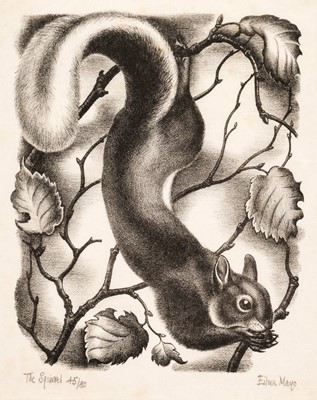 Lot 302 - Mayo (Eileen Rosemary, 1906-94). The Squirrel