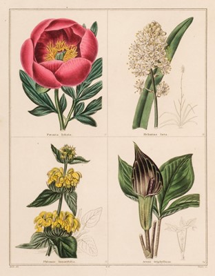Lot 25 - Maund (B.). The Botanic Garden or Magazine of Hardy Flower Plants,  55 parts, 1836 - 40