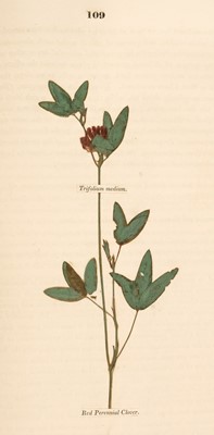 Lot 66 - Sinclair (George). Hortus Gramineus Woburnensis, 1816