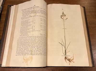 Lot 66 - Sinclair (George). Hortus Gramineus Woburnensis, 1816