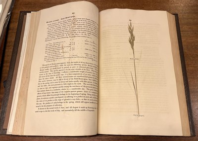 Lot 66 - Sinclair (George). Hortus Gramineus Woburnensis, 1816