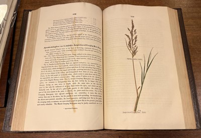 Lot 66 - Sinclair (George). Hortus Gramineus Woburnensis, 1816