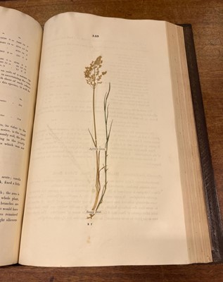 Lot 66 - Sinclair (George). Hortus Gramineus Woburnensis, 1816