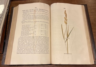 Lot 66 - Sinclair (George). Hortus Gramineus Woburnensis, 1816
