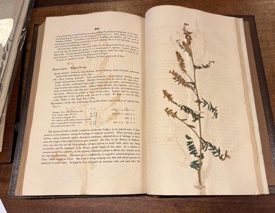 Lot 66 - Sinclair (George). Hortus Gramineus Woburnensis, 1816