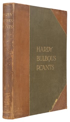 Lot 67 - Step (Edward, editor). Hardy Bulbous Plants, Florilegium Harlemense, 1908